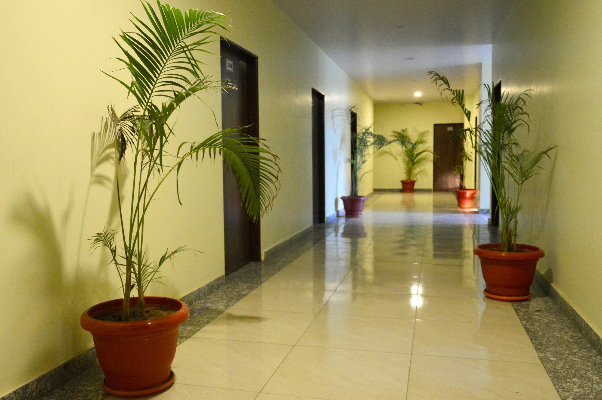 Oyo 6697 Hotel Green Lemon Jaipur Eksteriør billede